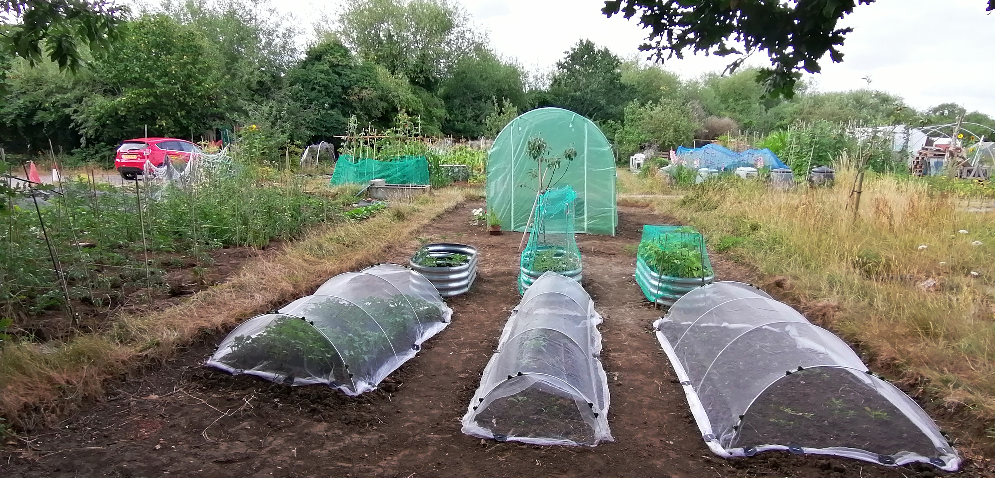 Community allotment beds and polytunnel
