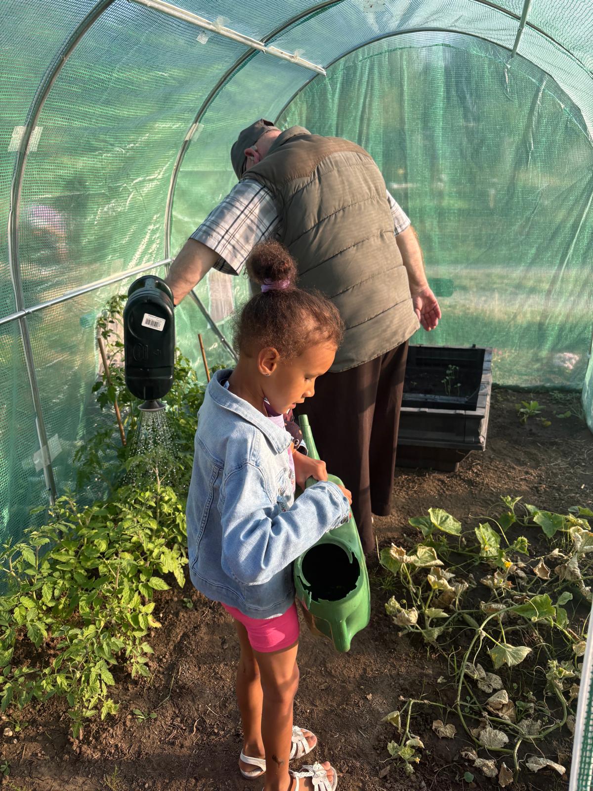 Child watering plants in a polytunnel